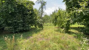 ələt qəsəbəsi: Tikinti — 4