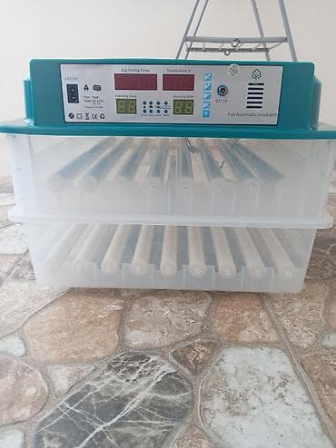 Оборудование для производства: Полностью автоматическая — 2