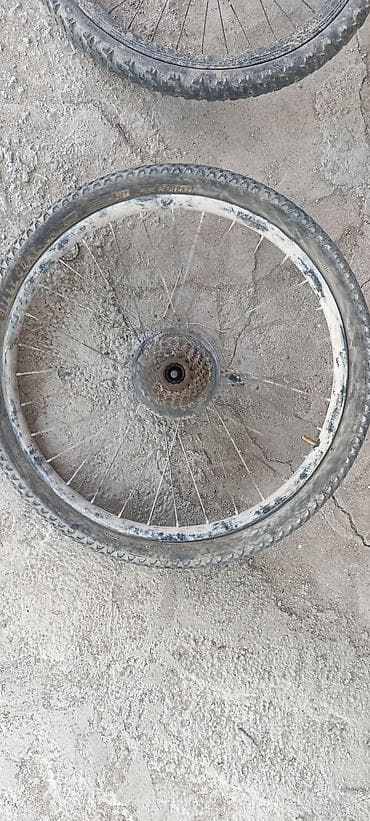kaset: Velosiped təkər dəstləri və aksesuar - Ön təkər: disk əyləc rotoru — 2