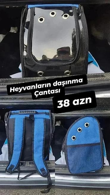 Gəmiricilər: Heyvanlar üçün daşınma çantaları satılır. İt və pişiklər üçün - bir — 1