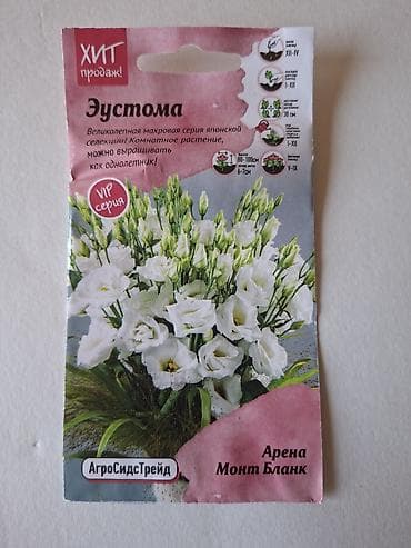 bezek bitkisi: Eustoma (lisianthus) toxumu – “Arena” seriyası, VIP xətt — 5