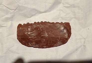 Tavan: Tarixi matiryalar daş dövrünə aid və 50 milyon illik fosil .maraxlanan — 3