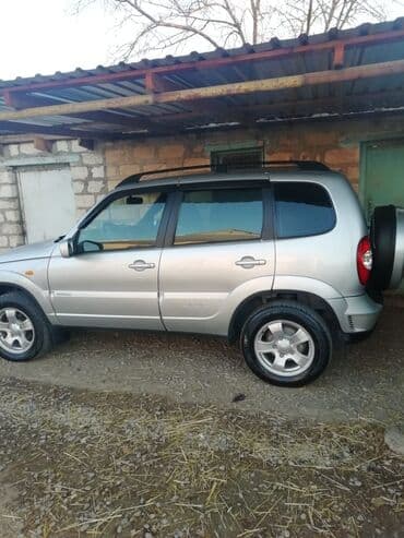 disk təkərlər: Chevrolet Niva: 1.7 l | 2010 il 169817 km Ofrouder/SUV — 1
