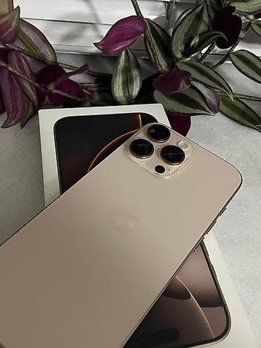 IPhone 15 Pro, Natural Titanium, Face ID lalafo.az -da IPhone 15 Pro, Natural Titanium, Face ID