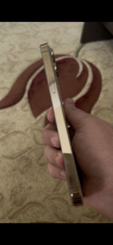 irşad iphone 13 pro max qiymeti: IPhone 13 Pro Max, 256 GB, Qızılı, Face ID — 4