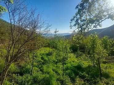 binede ipoteka evler: Iki mərtəbəli ev satılır. ətraflı məlumat üçün əlaqə telefonuna zəng — 4