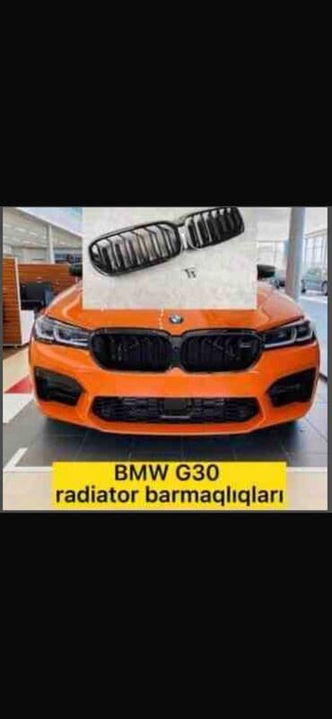 Биология: BMW G-30 — 1