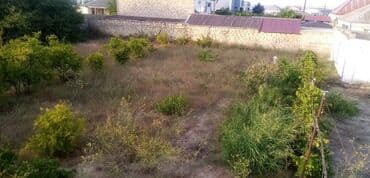 земельный участок в деревне: 6 соток, Для строительства, Купчая — 3