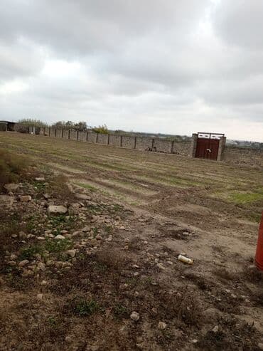 Subaru: 24 соток — 2