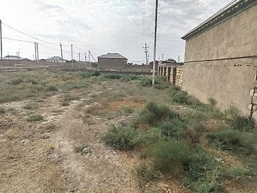 savalan torpag: 6 sot, Tikinti, Kupça (Çıxarış) — 8