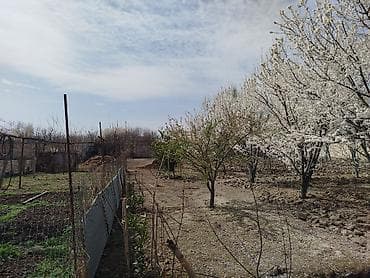 torpaq qəbələ: 10 sot, Tikinti, Mülkiyyətçi, Kupça (Çıxarış) — 3