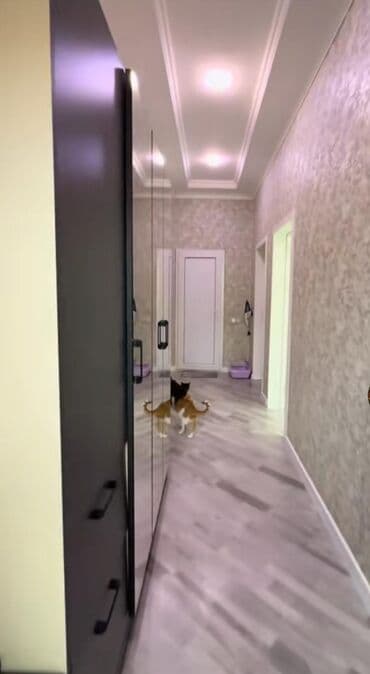 xacmaz kiraye ev: 5 otaqlı, 112 kv. m, Yeni təmirli — 8