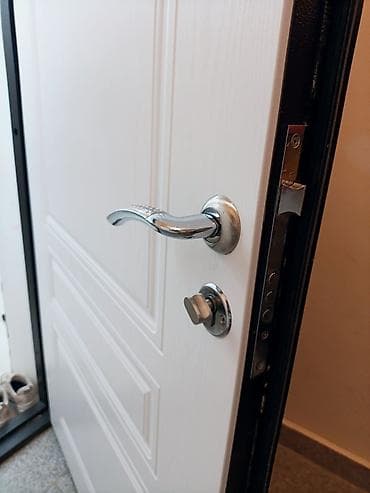 Divar kağızları, oboy: Dəmir giriş qapısı – klassik dizayn, tünd ağac teksturalı örtük — 5