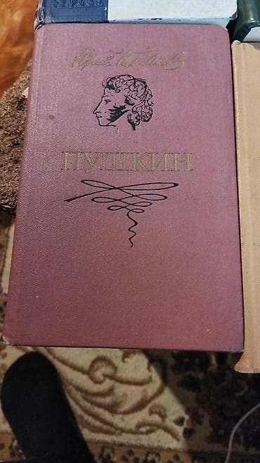 kitab evi: Klassik rus ədəbiyyatından 4 kitab dəsti (rus dilində) - Emile Zola – — 5