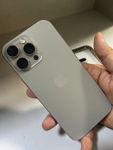 iphone x silver: IPhone 16 Pro Max, 256 GB, Gümüşü, Face ID — 6