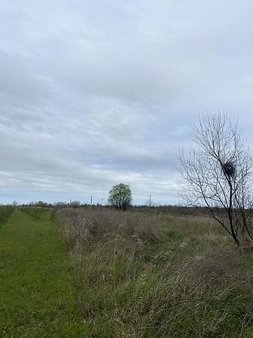 seki torpaq: 130 sot, Kənd təsərrüfatı, Kupça (Çıxarış), Bələdiyyə, Müqavilə — 5