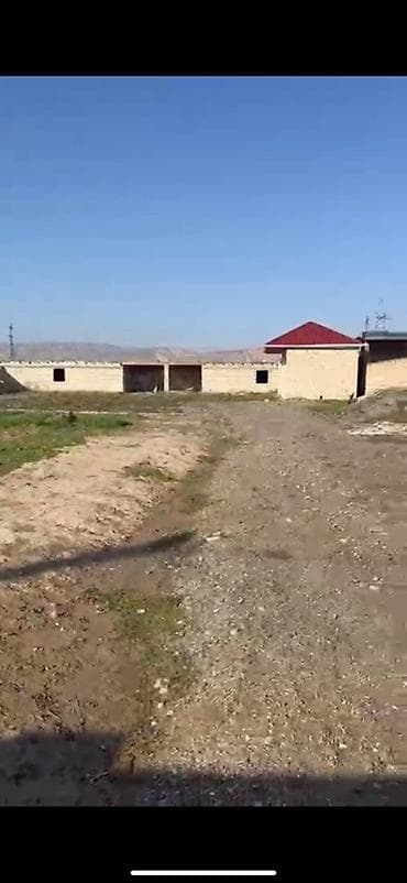 xacmazda bina evleri: 12 sot, Kənd təsərrüfatı, Kupça (Çıxarış) — 8
