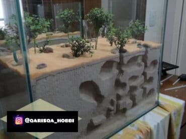 it üçün ev: Hər ölçüdə hər dizaynda qarışqa yuvaları yığılır səliqəli və təmiz — 18