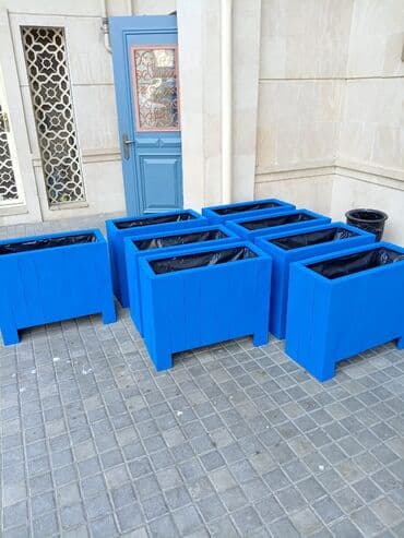 orkide qiyməti: Dibçək və dibçək atlıqlarının sifarişlə hazırlanması Qiymət minimum — 1