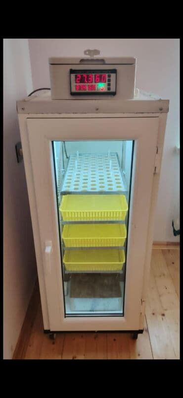 İnkubatorlar: Tam avtomat — 1