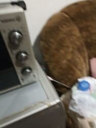 işlənmiş qaz sobaları: Духовки — 3