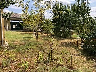 kirayə ev keşlə: 60 kv. m, 2 otaqlı, Su — 10