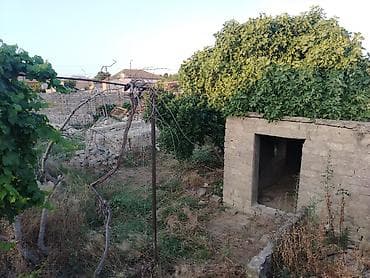eletde torpaq satilir: 7 sot, Tikinti, Mülkiyyətçi, Kupça (Çıxarış) — 6