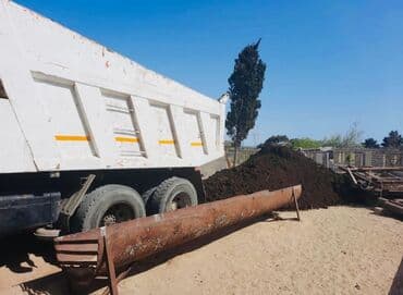 dibcək gulləri ev gulleri ve adlari: Torpaq, bağçılıq və ya tikinti işləri üçün yararlı ola bilər. Təmiz və — 1