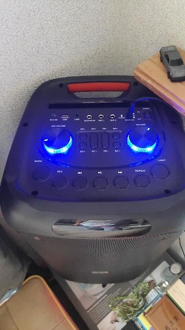 ses dinamikleri: Hoffmann portativ partnyor səsgücləndirici Səs sistemi çox gözəldir — 2