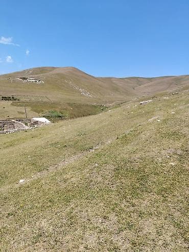 ev alqi satqisi kirayesi: Tikinti — 4