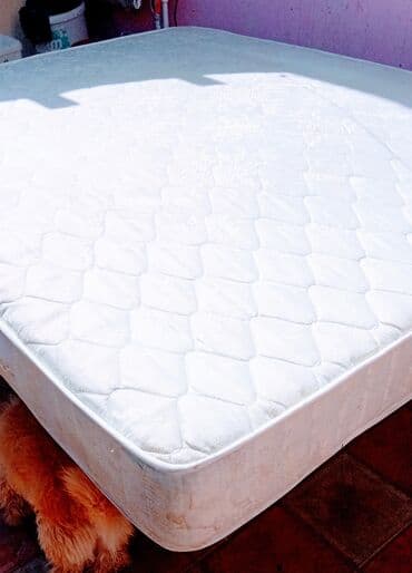 süngər: Böyüklər üçün Süngər Döşək — 1