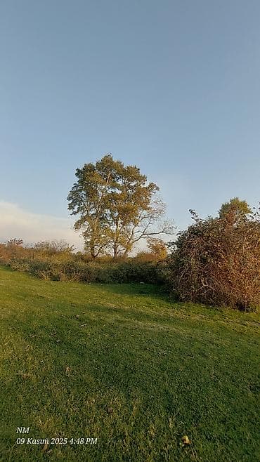 24 sot, Kənd təsərrüfatı, Barter mümkündür, Kupça (Çıxarış)