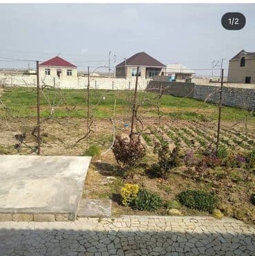 бизнес: 6 соток — 2