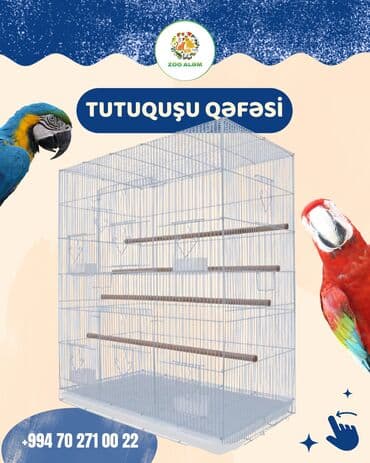 pişik yem qabı: Tutuquşu qəfəsi (valyer) — 1