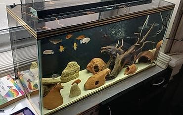 сколько стоит аквариум: Пустой, 96 л, Самовывоз, Платная доставка — 3