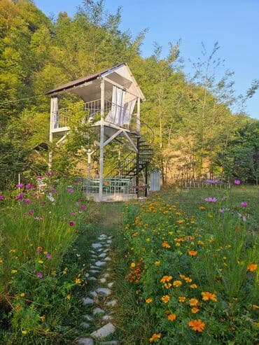 qaxda kirayə evlər 2023: 120 kv. m, 3 otaqlı, İnternet — 11