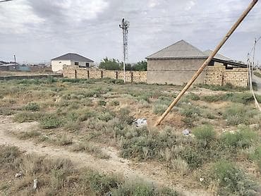 savalan torpag: 6 sot, Tikinti, Kupça (Çıxarış) — 1