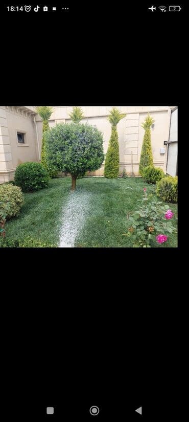 ağ dırnaq modelleri: Landşaft dizayin ummi abadliq qazon agaclar gul ciceklerlə bağlarin — 5