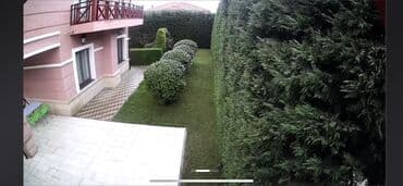 tuya ağacı faydaları: Suvarma sistemləri 💦 • Aqrotexniki qulluq🏝 • Dekorativ budama 🌲 ° — 5