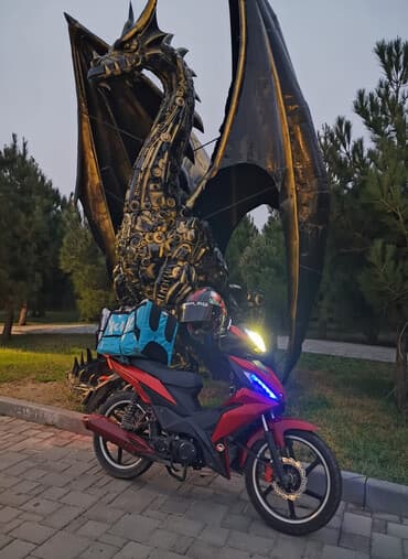 mapet tufan: Tufan - S50, 50 sm3, 2023 il, 46832 km — 1