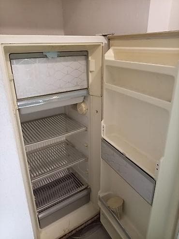 plesdeşin 3: Məhsul: Birkameralı məişət soyuducusu (üst hissədə dondurucu bölmə) — 2