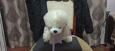 мини пудель: Yumuşaq oyuncağ – it (ağ rəngli pudel) - Material: yumşaq plyuş - — 1