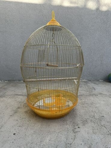 quş yuvaları: Quş qəfəsləri – 2 model dəst 1) Böyük düzbucaqlı qəfəs - Ölçü — 2