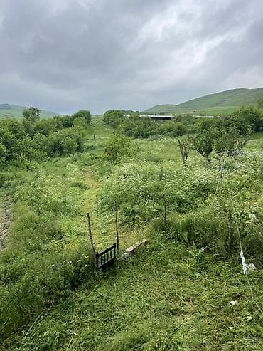 yeni guneslide satilan evler: Ferma 45 m uzunluqubda 12 metr enidədi Torpaq sahəsi 1 hektar birdi — 10