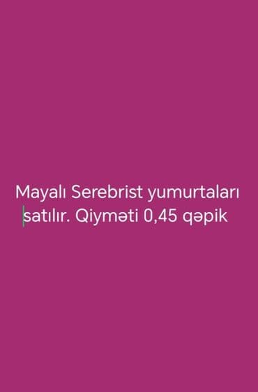 Ünvan Abşeron rayonu Novxanı kəndi, əlaqə nömrəsi 077-700-38-83 lalafo.az -da Ünvan Abşeron rayonu Novxanı kəndi, əlaqə nömrəsi 077-700-38-83