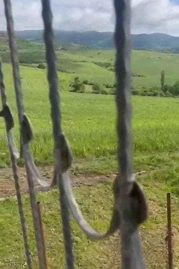 ev və bağ: Bakı, 95 kv. m, 3 otaqlı, Hovuzsuz, İşıq — 7