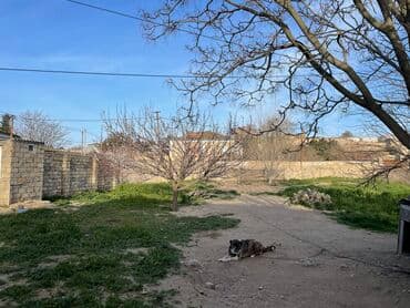 sabunçu qəsəbəsi: 8 sot, Tikinti, Mülkiyyətçi, Bələdiyyə — 5