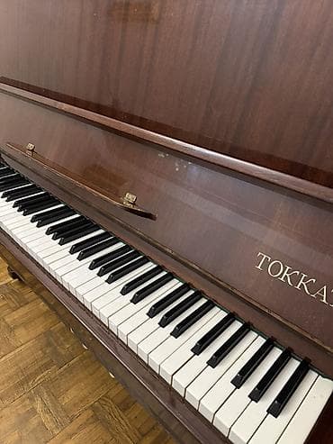 Музыкальные инструменты: İki pedallı Tokkata Piano. Tam işləkdir Yeni kimidir heçbir problemi — 3