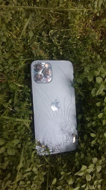 appl: IPhone 12 Pro, Pacific Blue, Face ID — 2