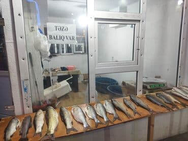 Təmir və tikinti: Hazır biznes satılır.hal hazırda gündə 28,35 kq satılır.Razinin — 6